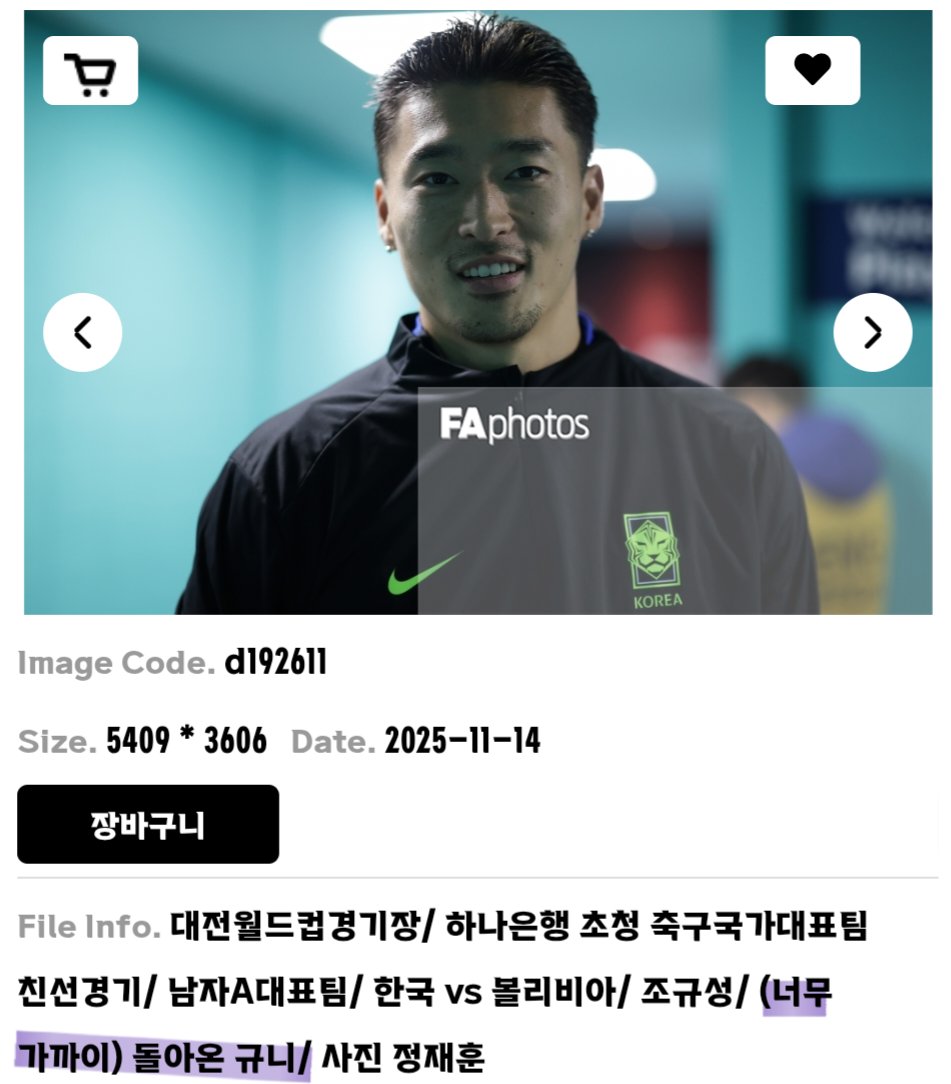 모가지 tweet media