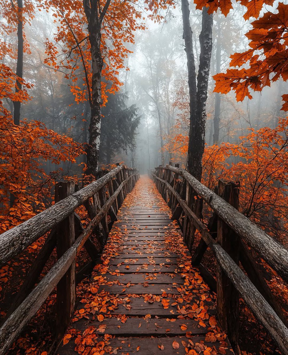 Hello Everyone! 🍂🧡🍁🍂 Have a beautiful day 💞🌸💕