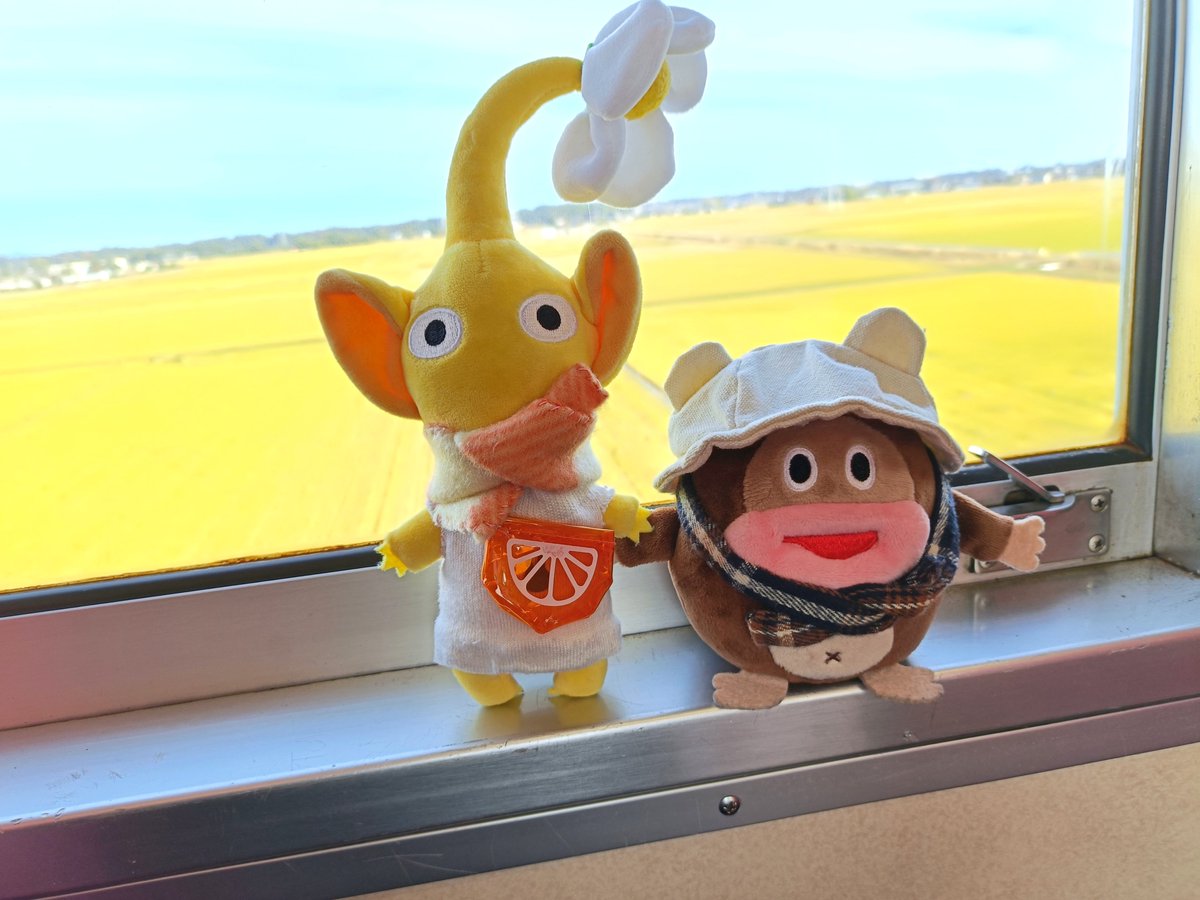 itoh_torico's tweet image. 11月11日、12日にあんこう鍋を食べに大洗にぶらりと行ってきました。
季節限定でなかなか食べる機会がなかったあんこう鍋、あん肝入りのスープが濃厚で美味しかったです。
次はどぶ汁（より濃厚なあんこうの鍋）を食べてみたいものです。

4枚目は大洗マリンパークの展望台より