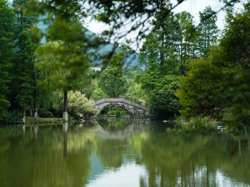 LinpingStyle's tweet image. 🚲It&apos;s the perfect time for #cycling in #Linping! You can leisurely pedal along, feeling the breeze on your face, watching the colors in the mountains and fields gradually change, and rediscovering that long-lost peace and freedom in #nature.