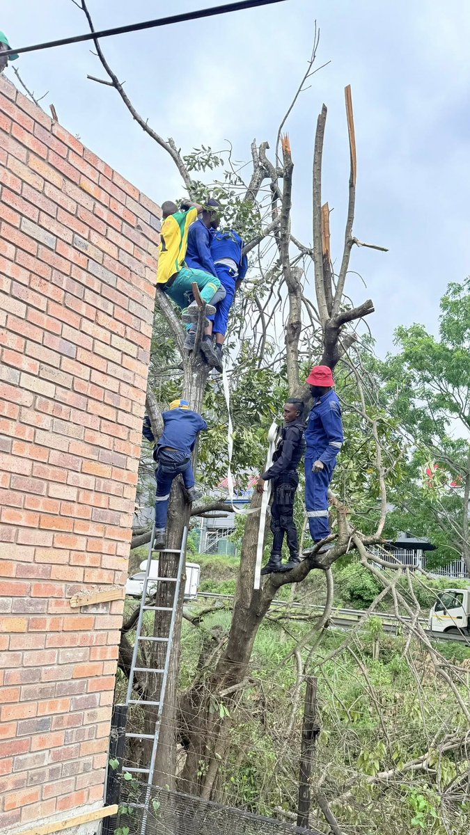 _ArriveAlive's tweet image. Man Critically Injured While Pruning Tree: Verulam CBD - KZN

arrr.co.za/f2zms

#ArriveAlive #Falls #CrushInjuries
