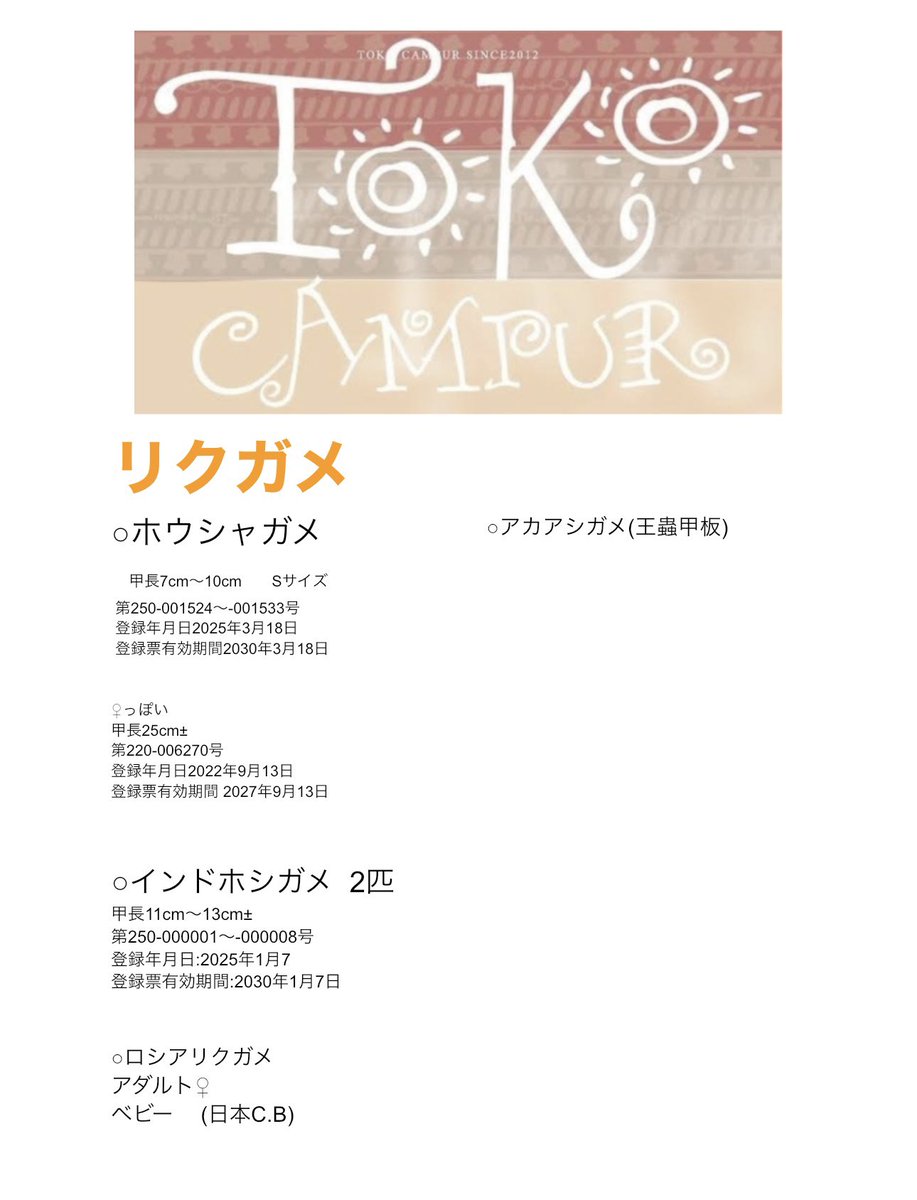 トコチャンプル ちゃんたま (@chantama_87) / Posts / X