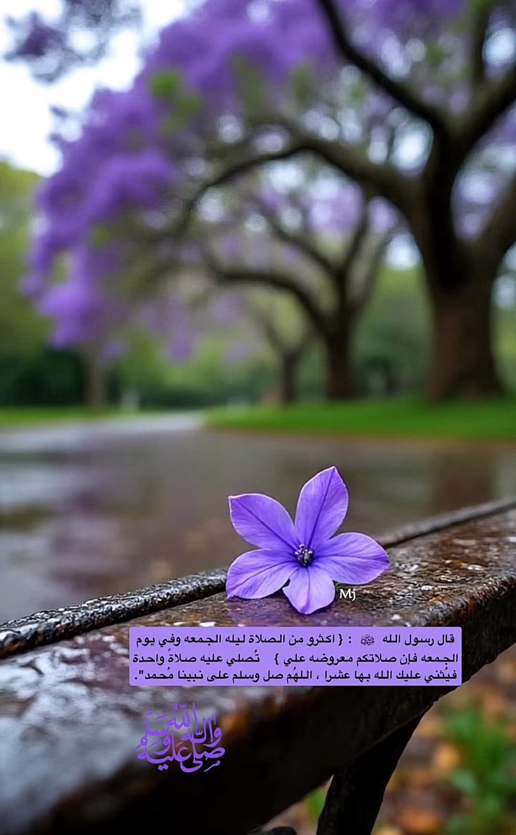 #صلوا_عليه_وسلموا_تسليما