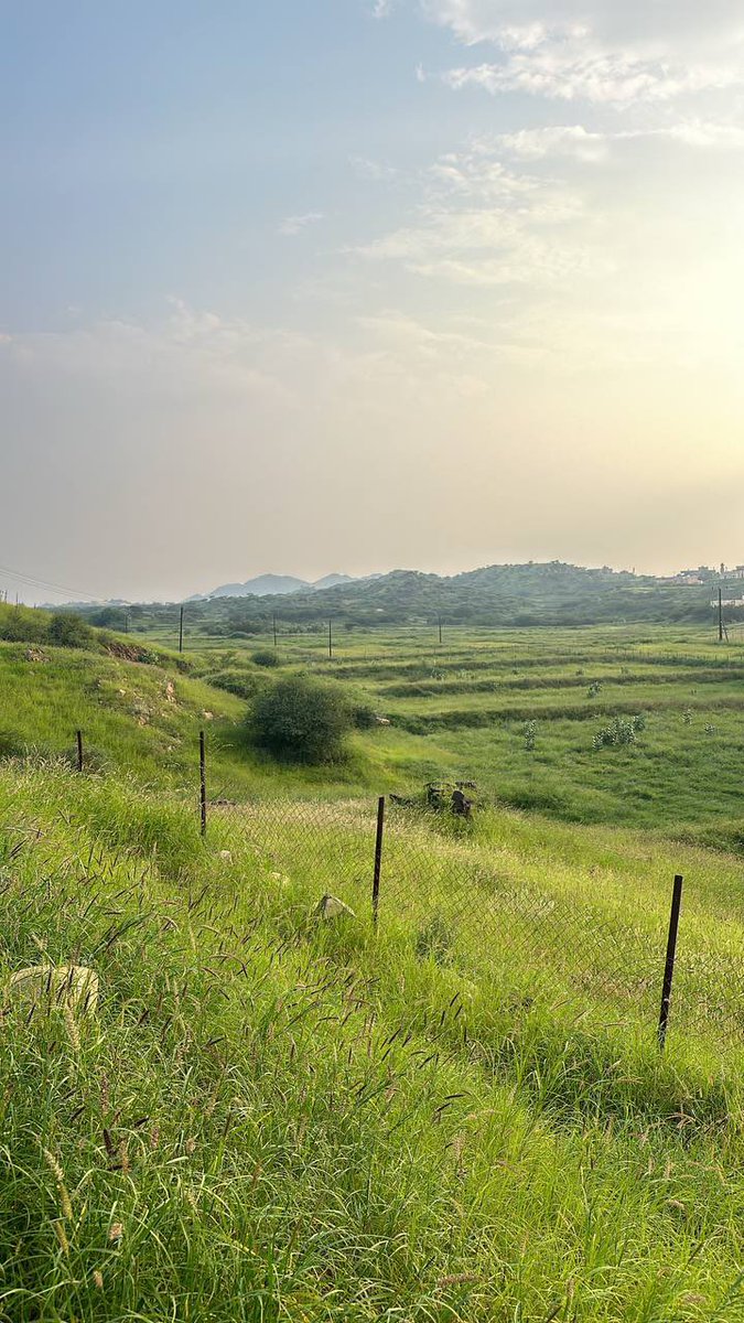 من قلب جيزان 💚🌿