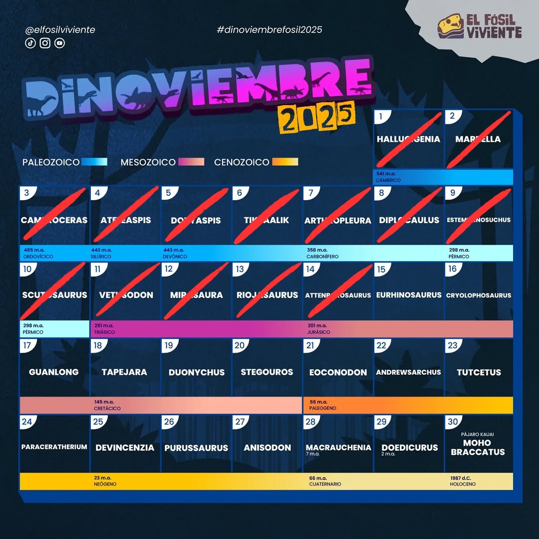 JeremyRengifo2's tweet image. Día 14 del Dinoviembre - Attenborosaurus
Significa &quot;lagarto de Attenborough&quot; y fue nombrado en honor al célebre naturalista y locutor británico Sir David Attenborough
#Art #Digitalart #paleoart #dinoviembre2025 #dinoviembrefosil2025 #elfosilviviente #attenborosaurus