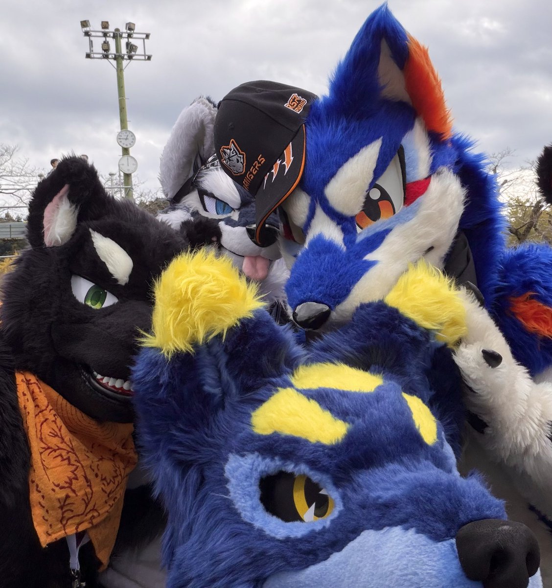 これは集合写真の後にわちゃわちゃしながら自撮った1枚なのだけど、全員片目しかちゃんと写ってないの面白い

#Kemocon18 
#FursuitFriday