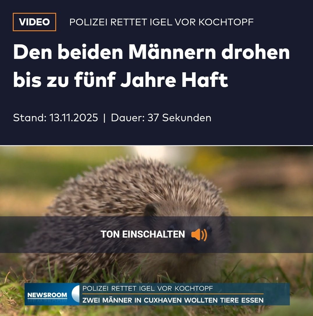 OliverSKBerlin's tweet image. Was sind das für Männer, die #Igel zum Verzehr kochen? 

🤬👇

welt.de/vermischtes/vi…