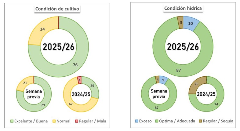 #Maiz 🌽

El 76% del área implantada está en condición Buena a Excelente, muy por encima del 29% de la campaña pasada. 🔥🔥🔥 🔥🔥

<a href="/Bolsadecereales/">Bolsa de Cereales</a>