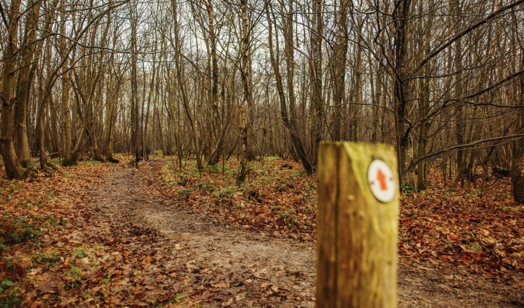 Exploring Ashford on your bike this weekend? 🍂 Share your autumn cycling photos in the comments below or tag <a href="/CycleAshford/">CycleAshford</a> in your posts  - we’d love to see your adventures! 📸

Picture below of Kings Wood, Challock

#CycleAshford