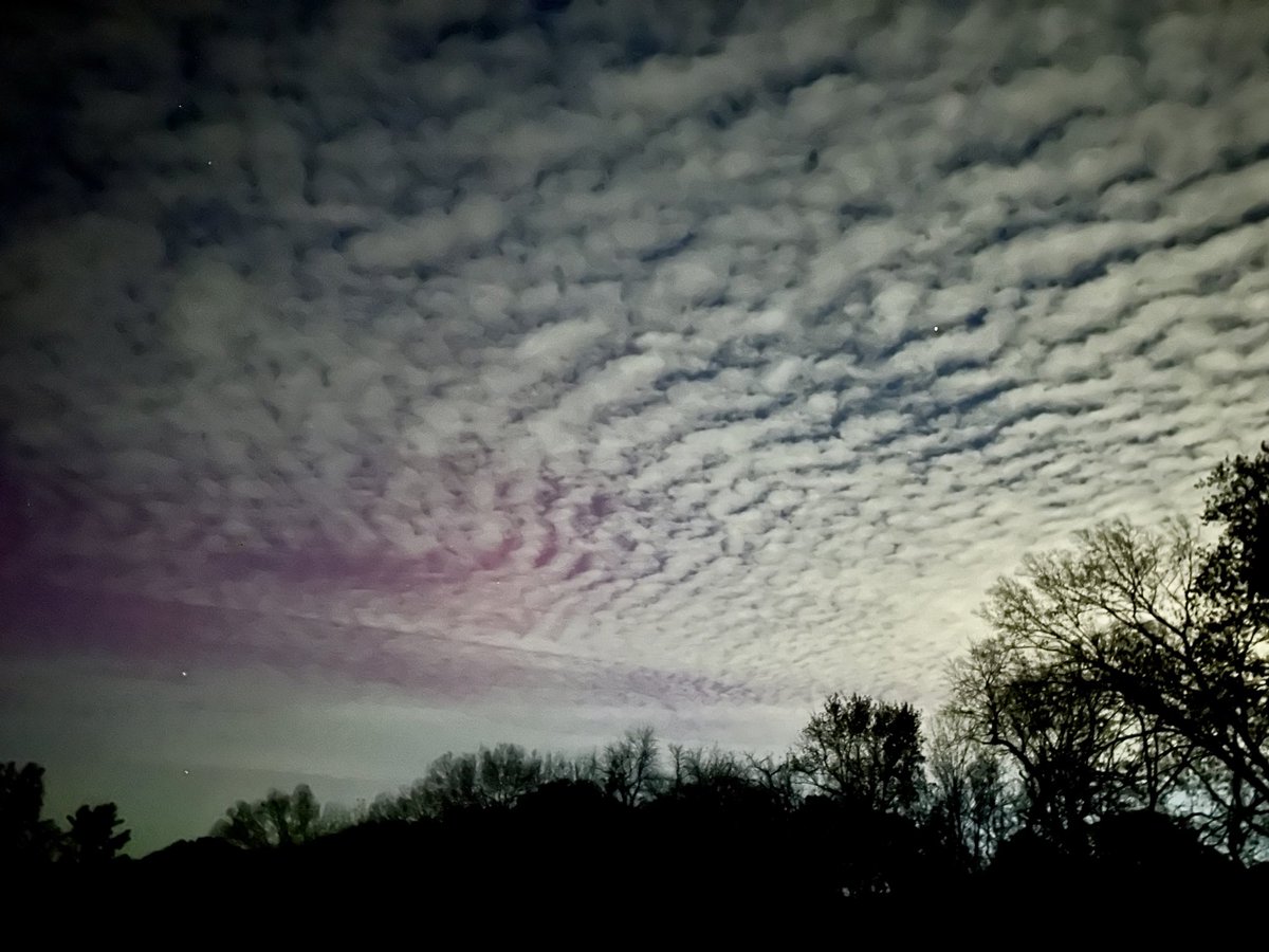 Dr. Kristy De La Cruz tweet media