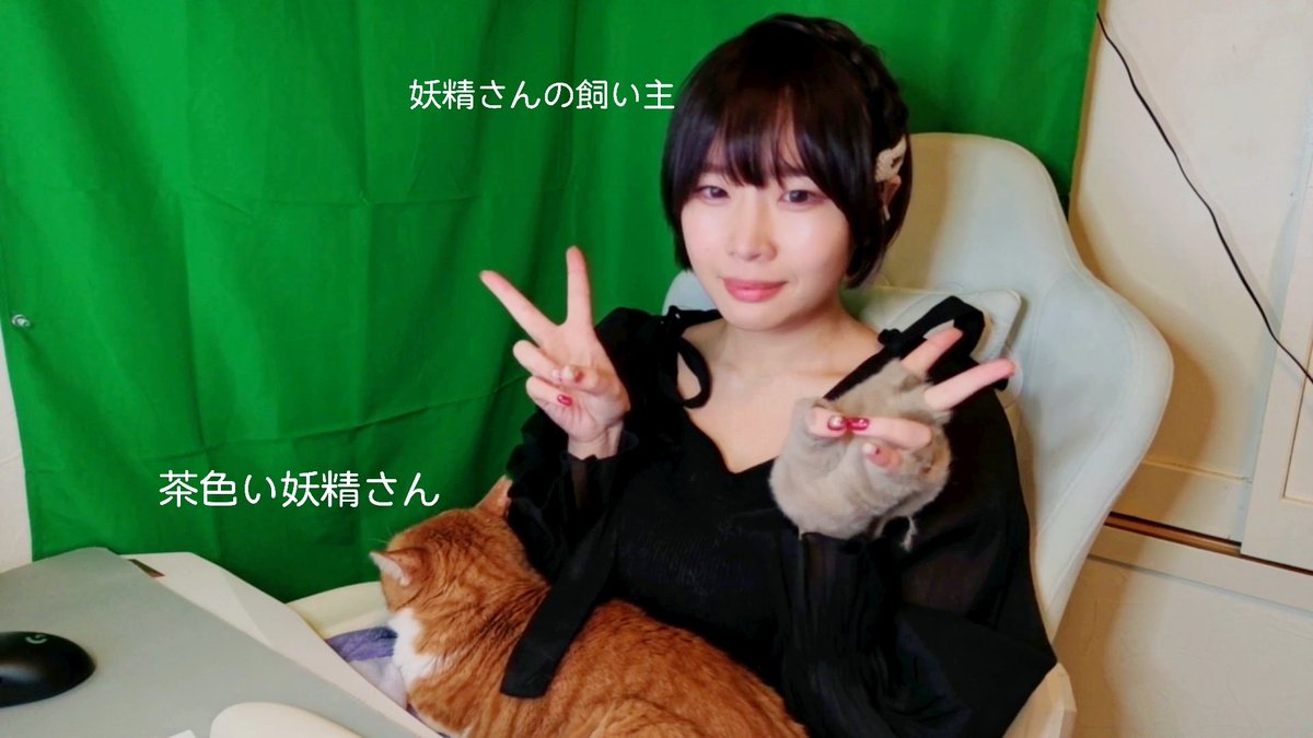 かつーや🥕 tweet media