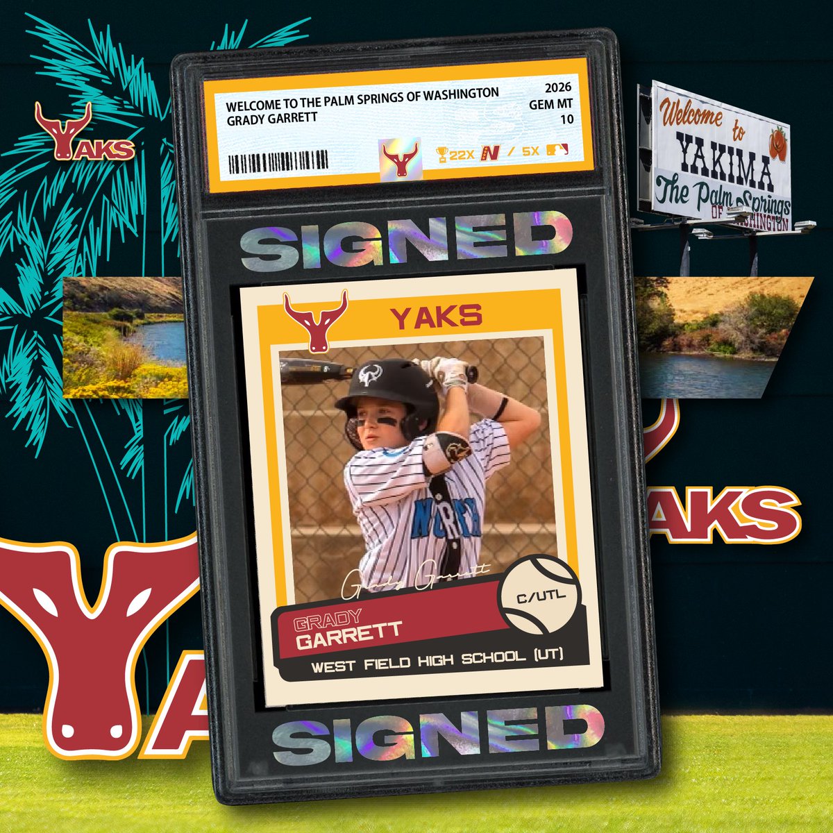Yaks Baseball tweet media