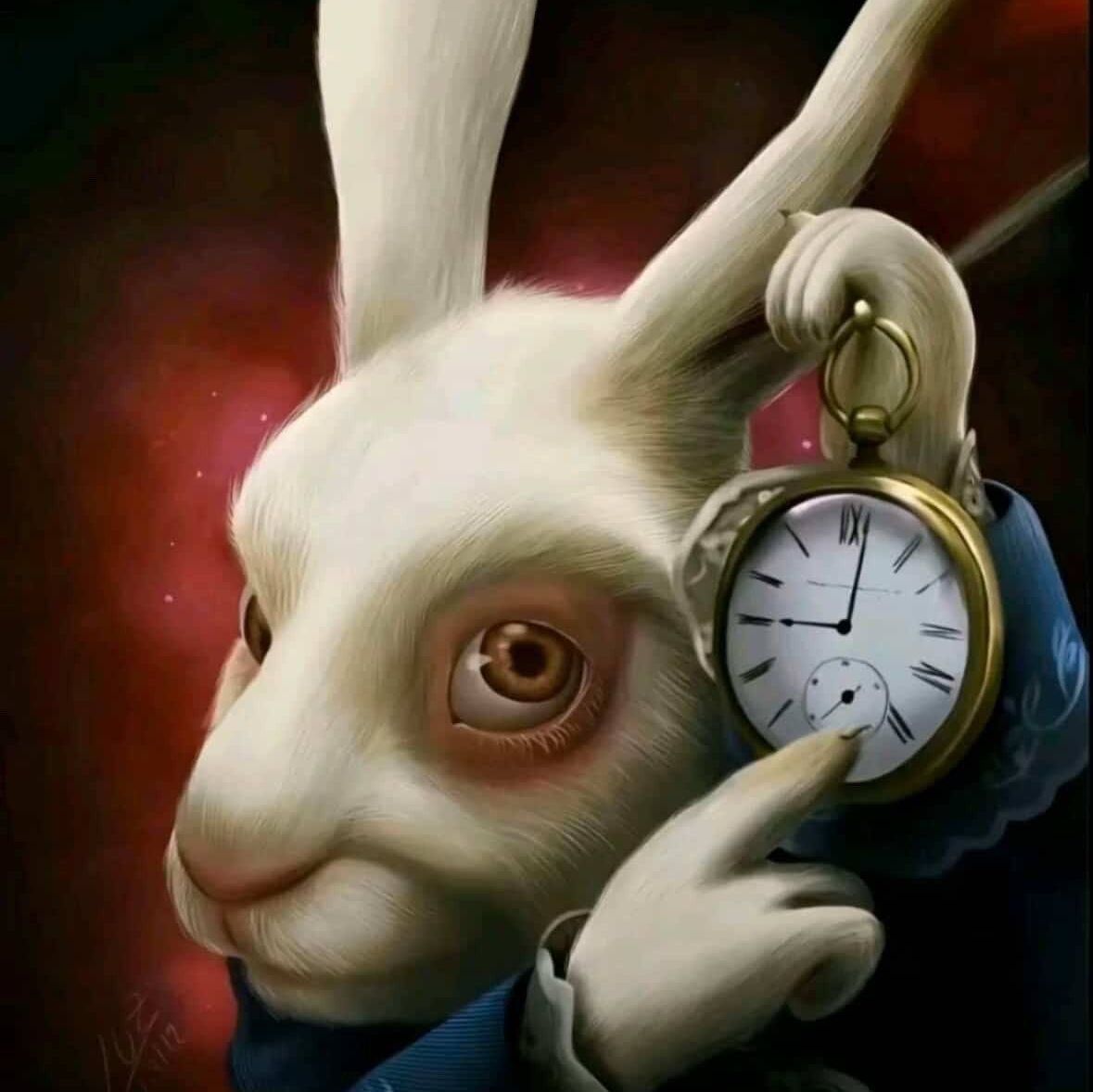 Thank you to everyone that has signed up for KICKBACK already. We're seeing lots of competitors from all over Texas so I'm really excited to see which regions dominate this Saturday. 

 Last little update for now is that registration cutoff time has been updated to 5PM today.