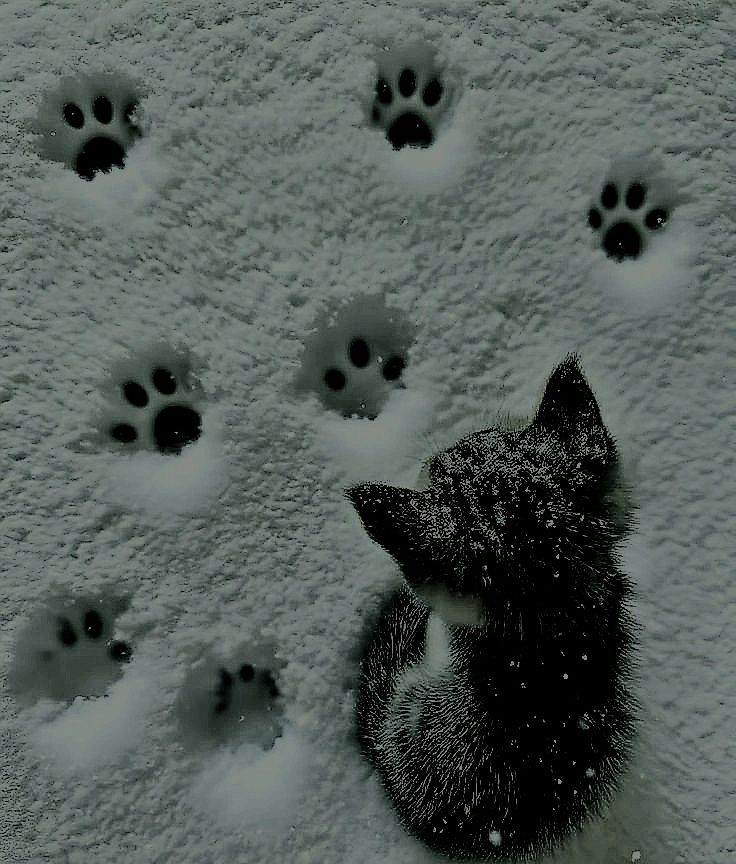 Artzchillect's tweet image. 