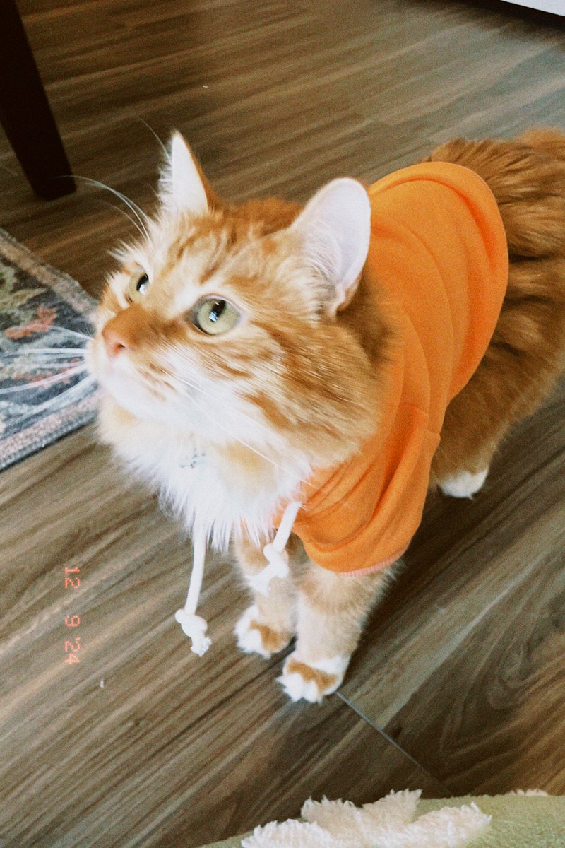 A cure for seasonal depression