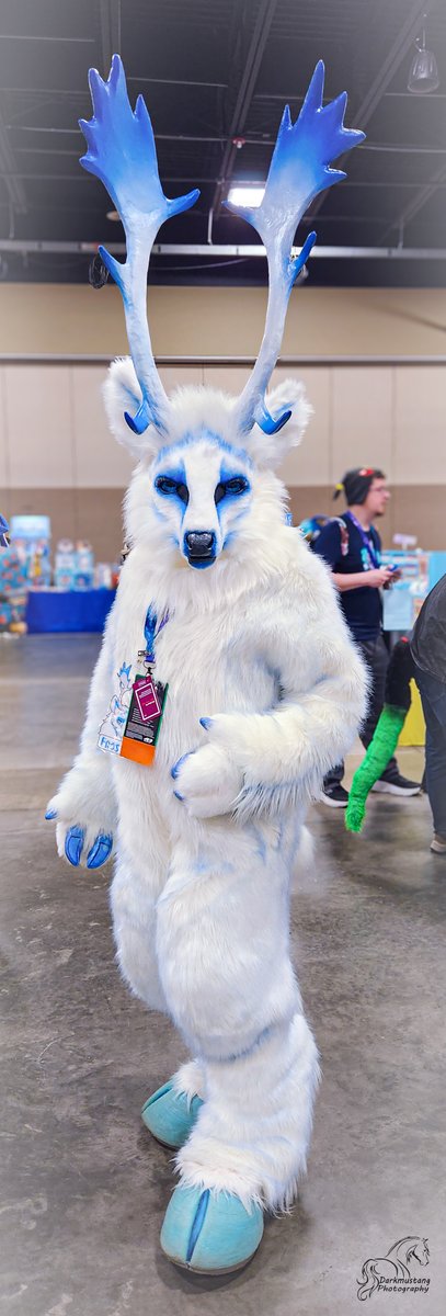 Going tall with Frost for this #FursuitFriday. Photo taken last weekend during <a href="/CarolinaFurfare/">Carolina Furfare: Medieval in the Mountains</a>
✂️ = <a href="/Keeatah/">Kandorin Creations</a>   Head, hands, tail
✂️ = <a href="/TheBeastcub/">TheBeastcub</a>   feet
✂️ = Bodysuit by me
📸 = <a href="/ClownCarCritter/">Clown Car Critters</a>