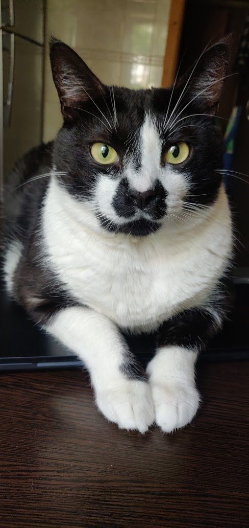 Xenta777's tweet photo. Styopka’s wisdom

When a woman says, ‘Whaaat?!!’, it doesn’t mean she didn’t hear you. She’s giving you a chance to change what you just said.
#StyopkasWisdom