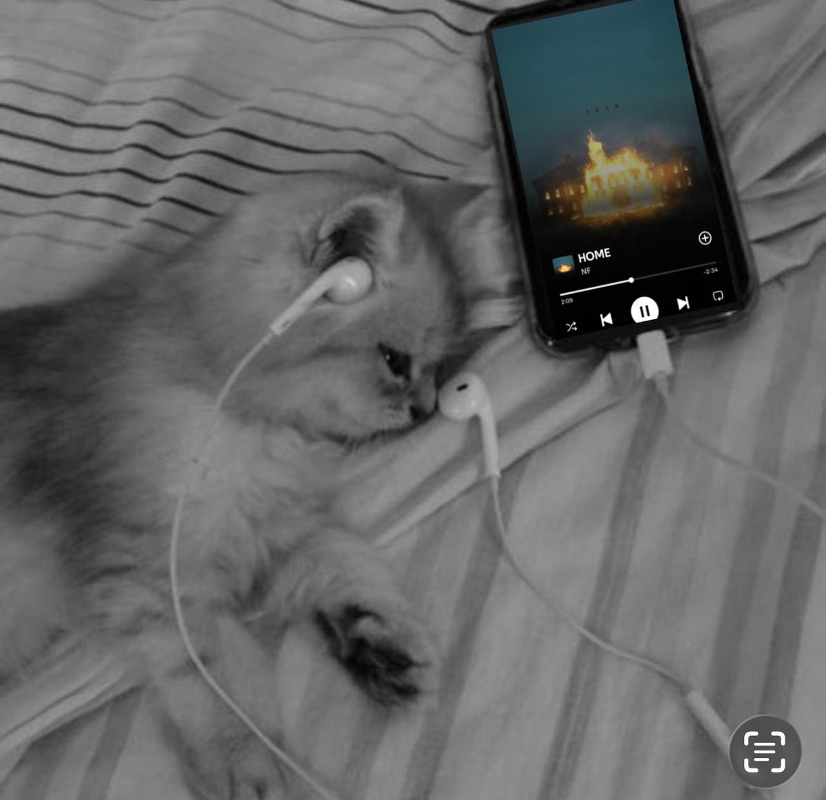 Marshy 🛒🖤 tweet media