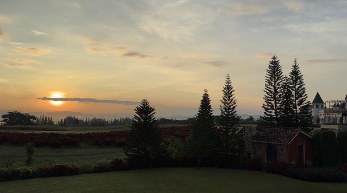 ⋆˚𝜗𝜚˚🦆𖦹 바비트 🐰˚꒰♡⤾·˚ tweet media