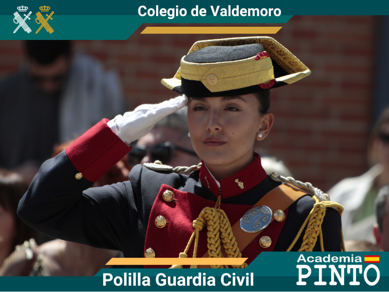 academiapinto's tweet image. Quieres ser “polilla” y no puedes o no quieres asistir presencialmente a nuestras clases en @academiapinto , no te preocupes te llevamos la formación al interior de tu casa.
Con nuestro curso online tendrás acceso a todo (temario, test, ortografía, inglés) y si tienes alguna duda…