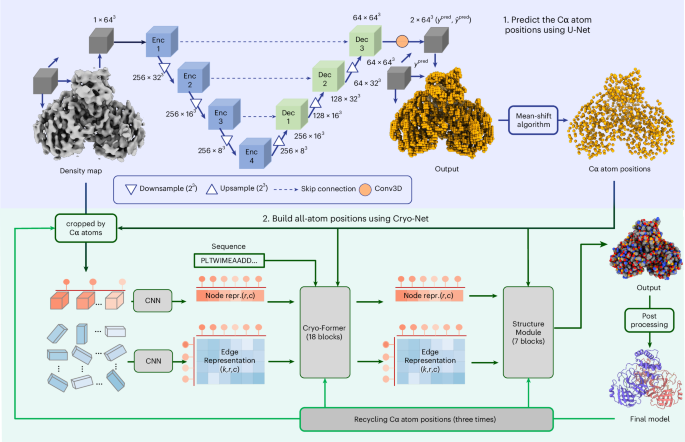 NatureSMB's tweet image. New online! CryoAtom improves model building for cryo-EM bit.ly/3JCZFTX