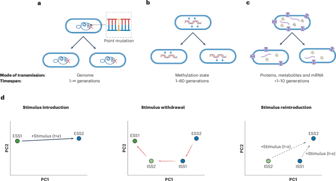 Nature Microbiology tweet media