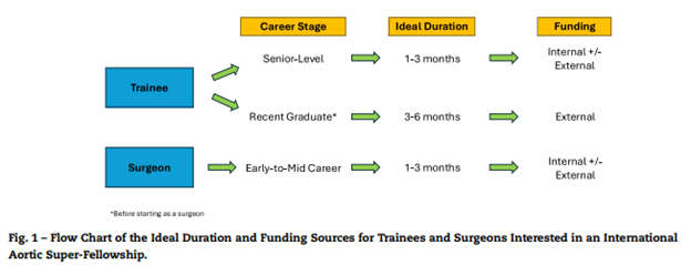 AruRobbie's tweet image. Thrilled to share a contemporary guide for US-based surgical trainees / surgeons interested in an international aortic #superfellowship. This guide is the first to discuss this training opportunity, from the ideal program/mentor to funding. #AortaEd 

📝➡️ doi.org/10.1053/j.semv…