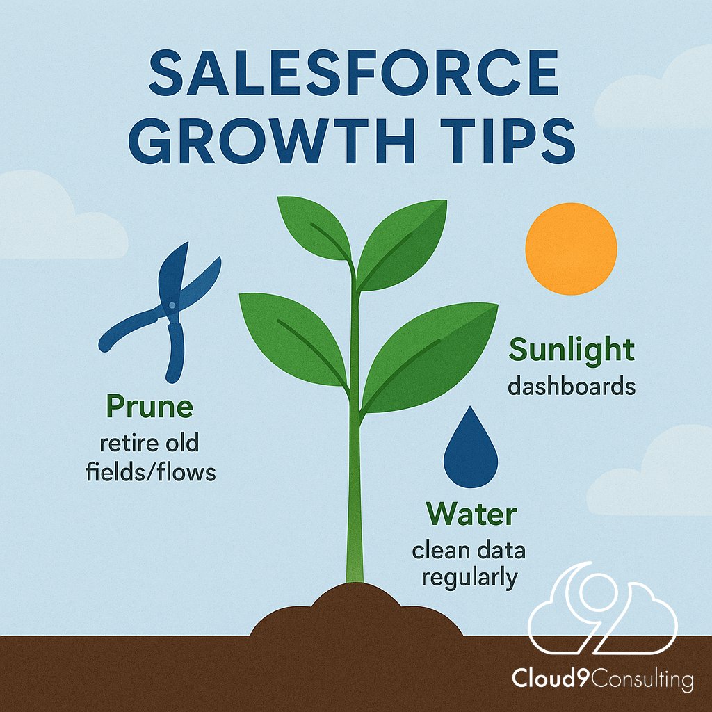 Cloud9Sforce's tweet image. 🌱 Salesforce Growth Tips
✂ Prune old fields &amp;amp; flows → Healthier org
💧 Water with clean data → Stronger insights
☀ Shine sunlight (dashboards) → Clearer visibility

Nurture Salesforce → Nurture growth.

#SalesforceTips #Cloud9Consulting