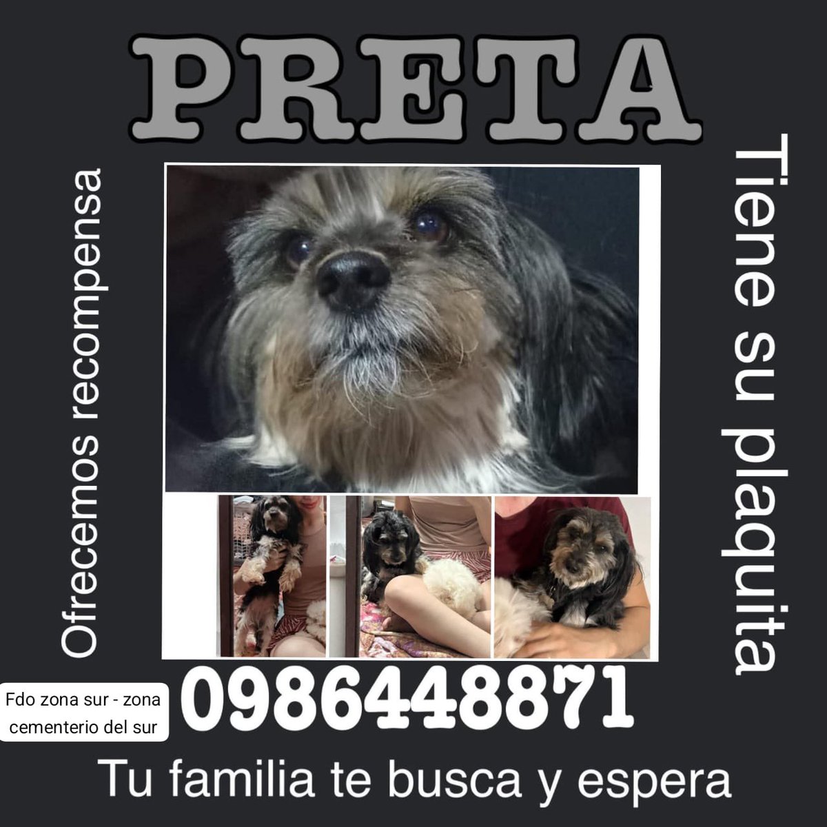 Se busca !!! Ayuda con RP 🙏🐾