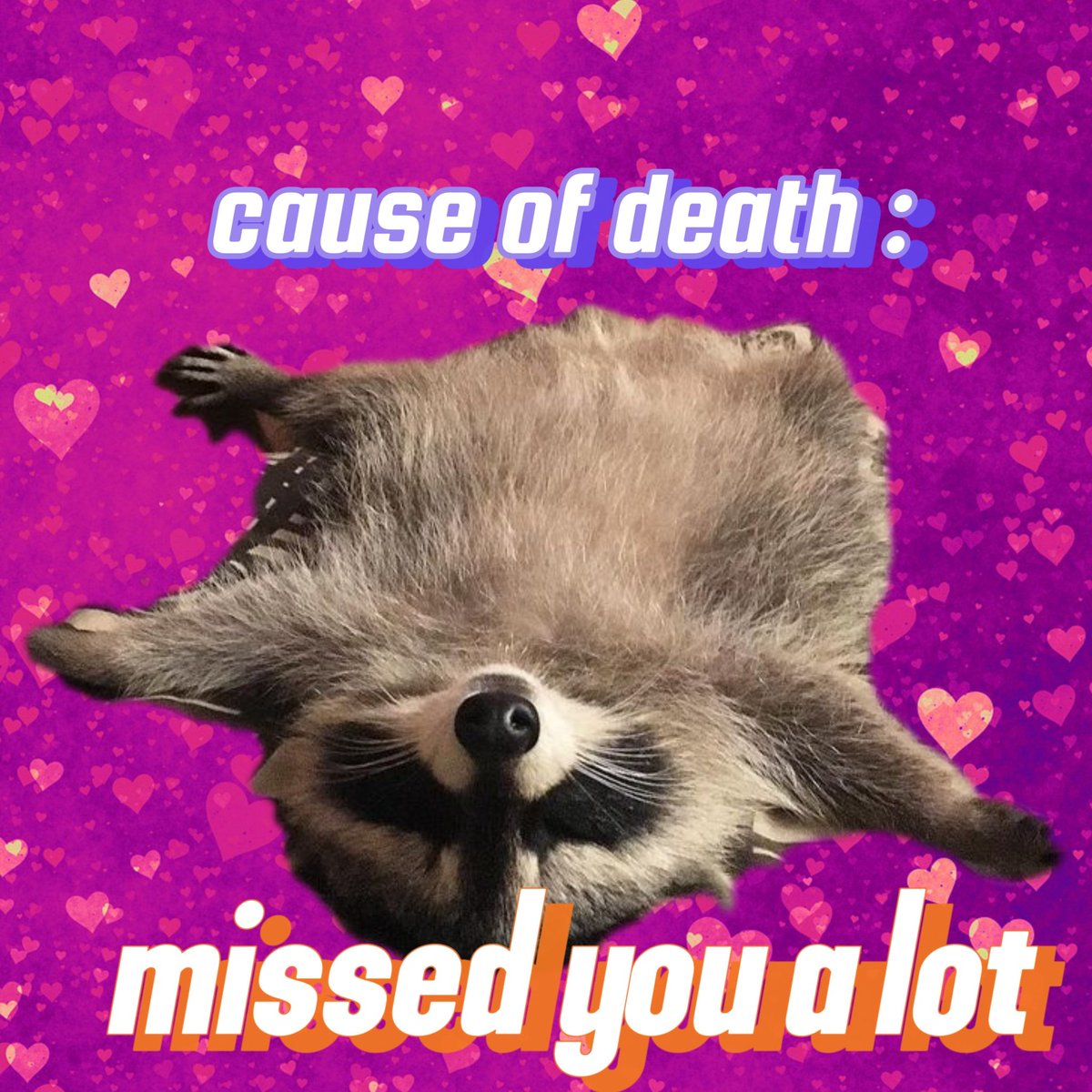The Raccfather 🦝🦝🦝 tweet media