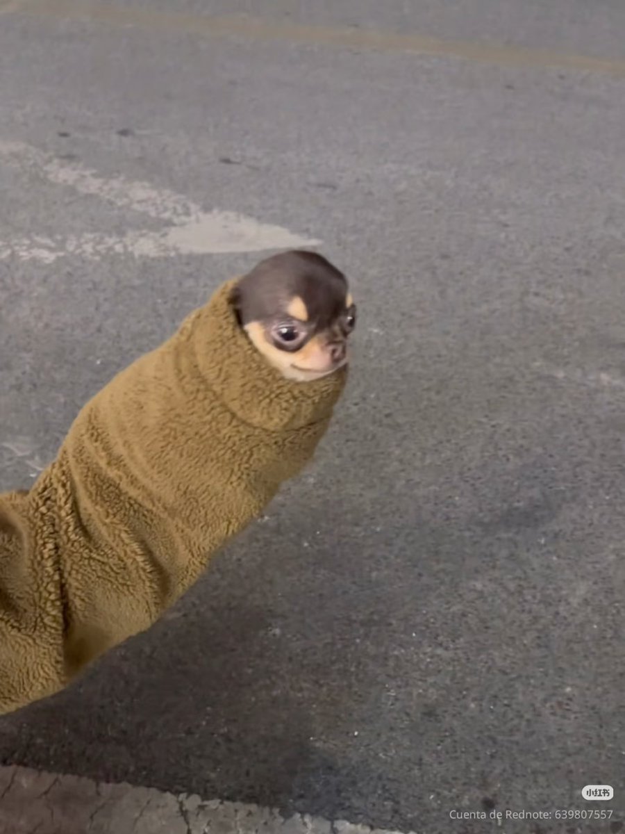 tattoos i would get if i had money (@twtpictures) on Twitter photo 