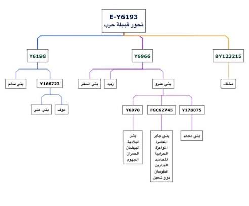 جنرال⭐️ tweet media