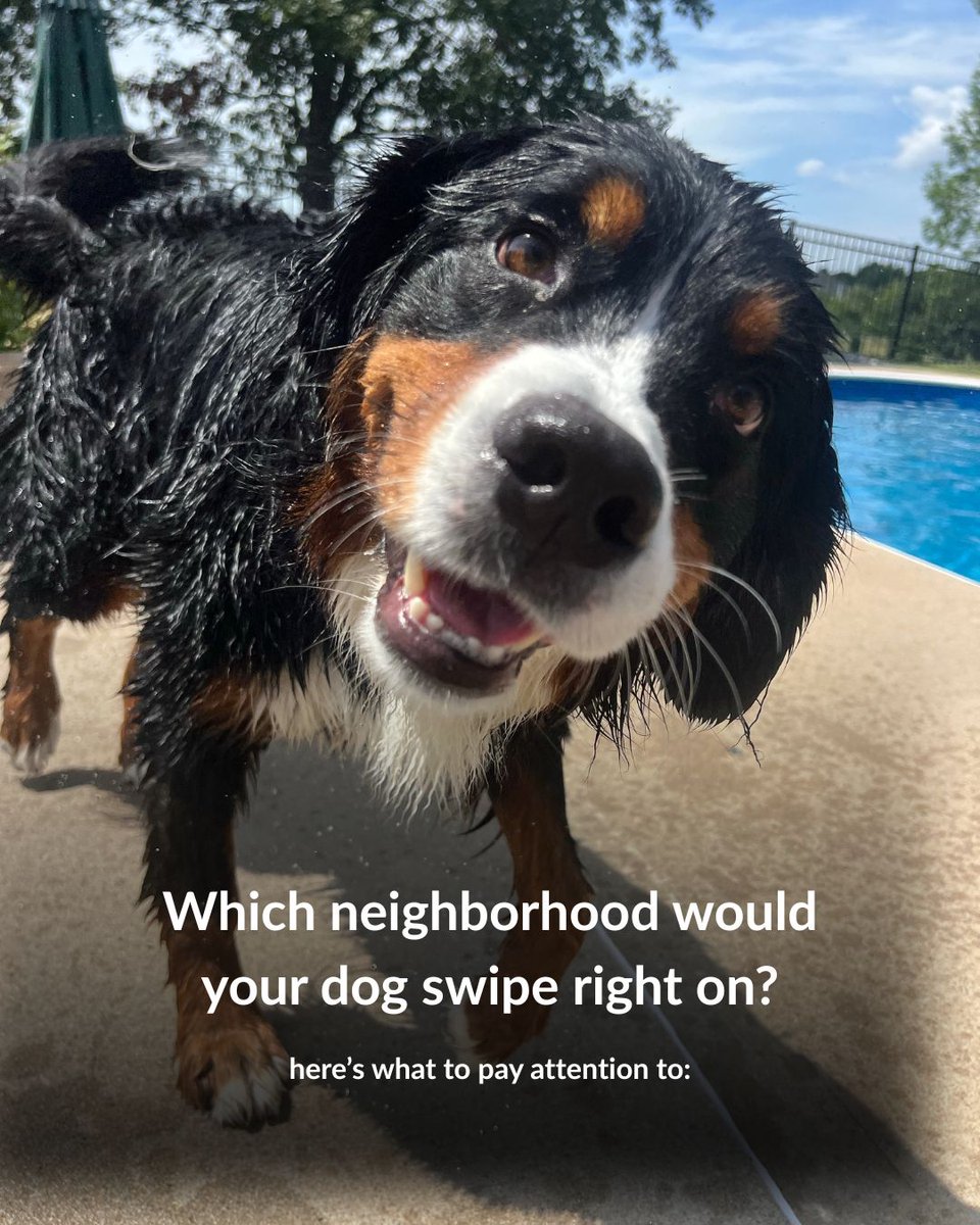 jimraines's tweet photo. Here’s what to pay attention to: dog-friendly parks, sidewalks for long walks, nearby trails, and neighbors who love pets as much as you do. Finding a home that works for both you and your furry friend makes all the difference—want me to help you sniff out the perfect spot? https://t.co/Yz2I6tk6t2