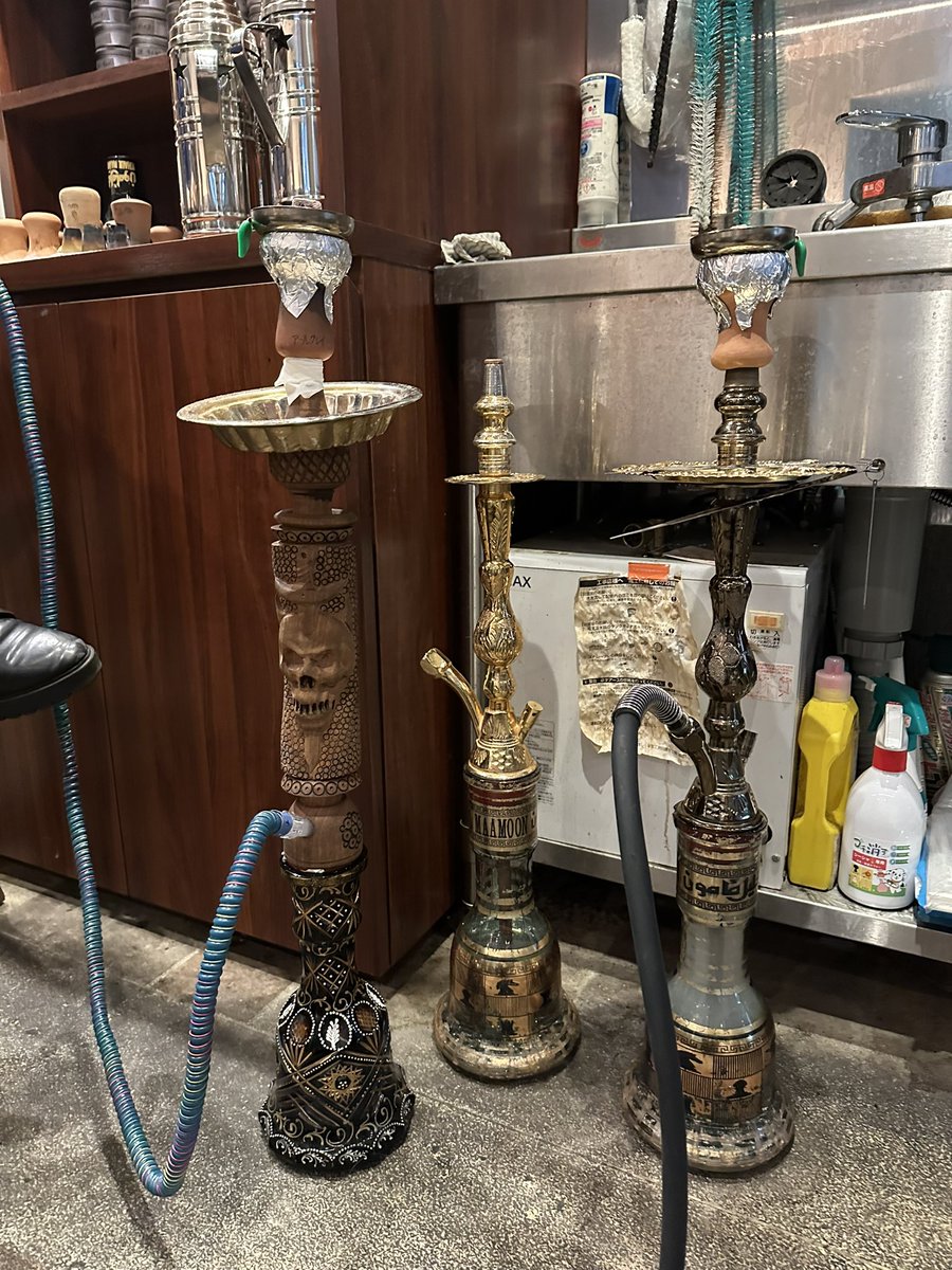 今日も今日とて