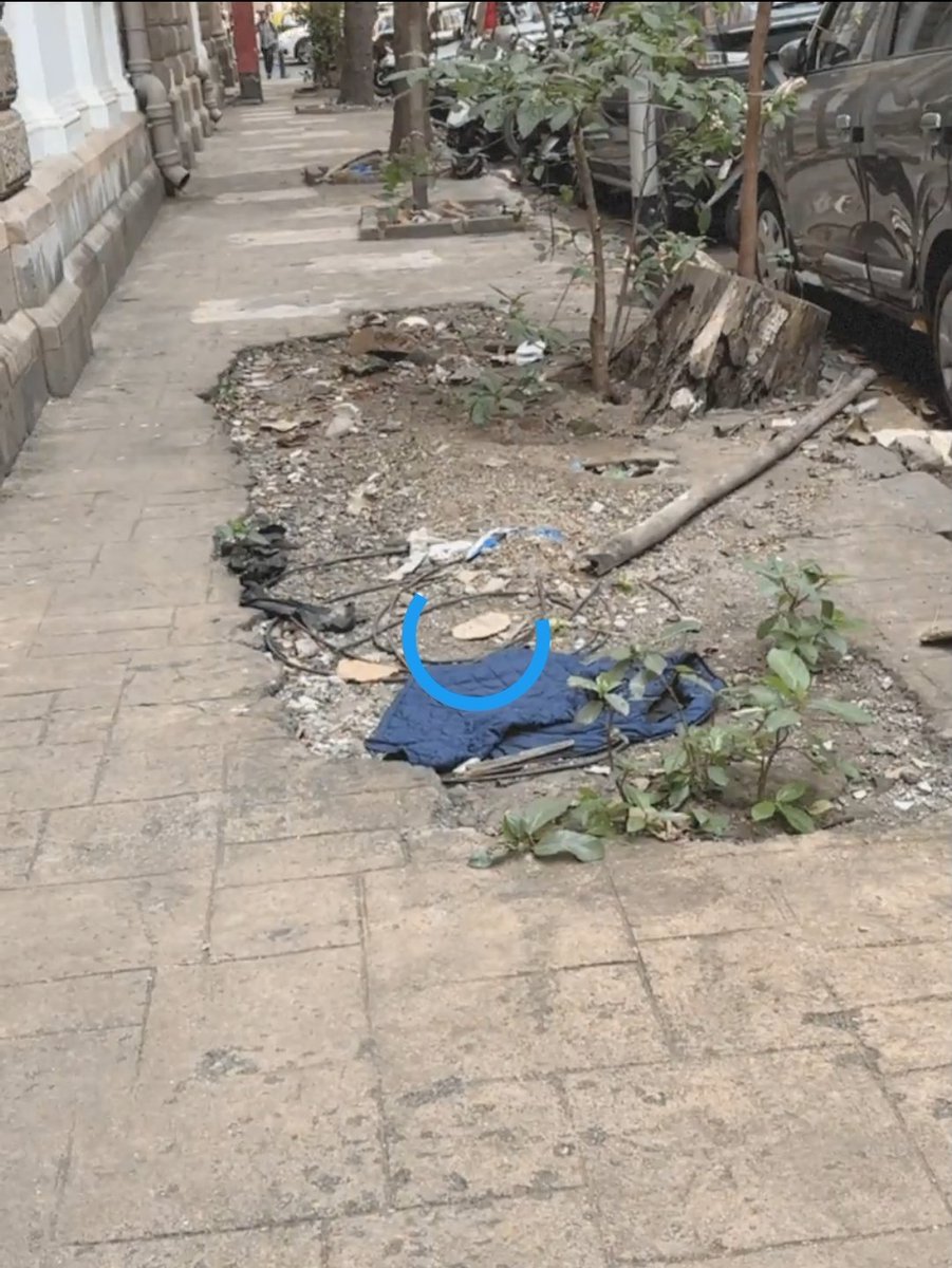 Zoru Bhathena tweet media