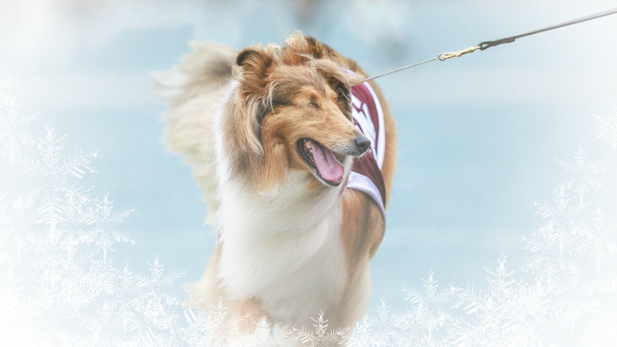 Back in Kyle tomorrow...chills...literal chills. #chants