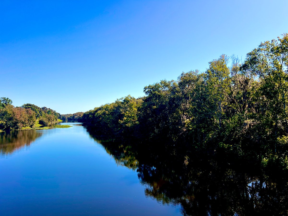 On this $44B fractured stage social media rappers and producers not all 

still don’t see it if you want head of household income from music 

someone has to hold the rights and work your catalog in the real 

marketplace that’s the part the gurus and algorithm never teaches .