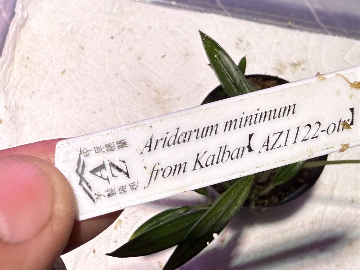 KENZO (@fw_kenzo) / Posts / X