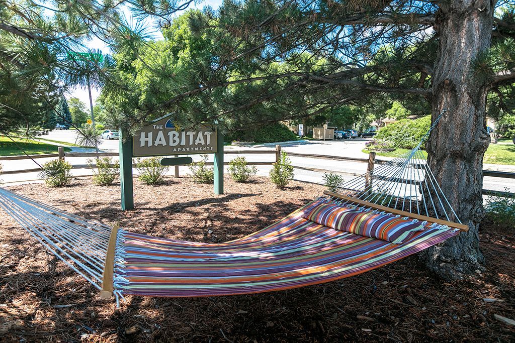TheHabitatApts's tweet image. Find your space to breathe at The Habitat. Our spacious floor plans, mature trees, and quiet Gunbarrel location make coming home feel easy. Discover comfort, community, and convenience all in one place. 😌 habitatapts.com