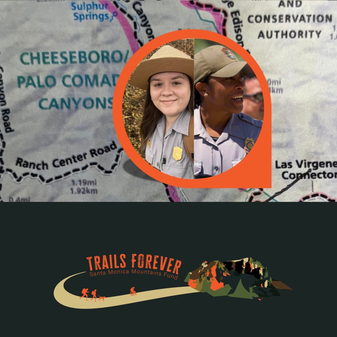 As the shutdown ends, the Rangers are working on getting back to normal operations. This weekend's hike will be rescheduled to give them time to catch up on all they've missed, but join us on December 14th for the hike at Cheeseboro Canyon Trail

eventbrite.com/cc/samo-2025-t…