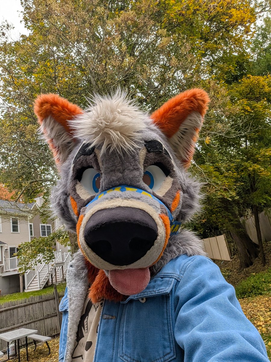 PartDoggo's tweet image. GRAMMY NOMINATIONS:
TAYLOR SWIFT             LUCKY
58                                            0