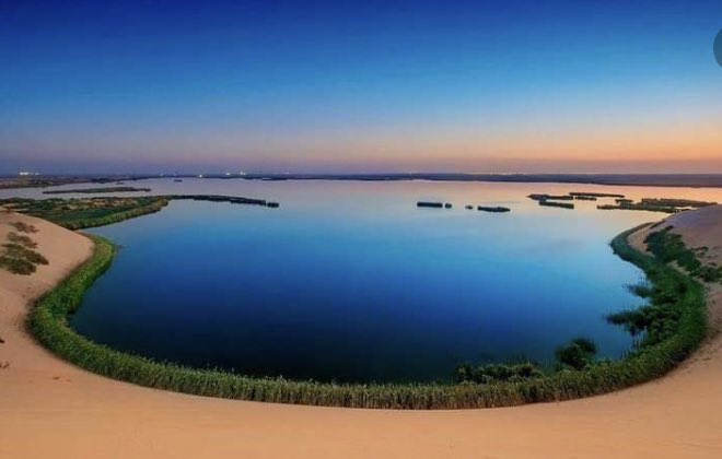 alahsekaer's tweet photo. هي الاحساء
#الاحساء https://t.co/oiizlbHWYN