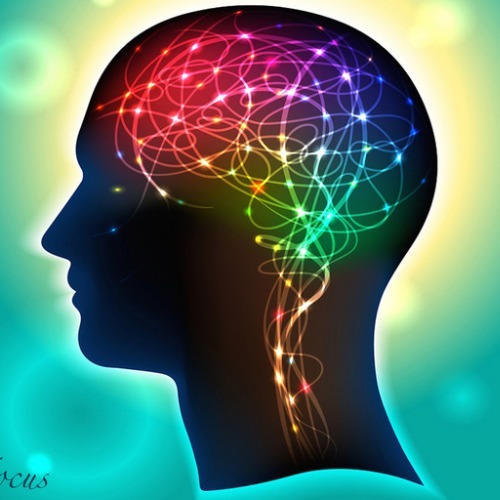 🎧  Music for Studying and Working  #New #playlist for maximum #Focus

I've created the perfect selection to help you #study, #work, or just #relax while staying focused. 🎹😍
Give it a listen and let me know what you think!
pandora.app.link/YSAiSEWcdYb
<a href="/pandoramusic/">Pandora</a>
<a href="/Pandora_Amp/">Pandora Amp</a>