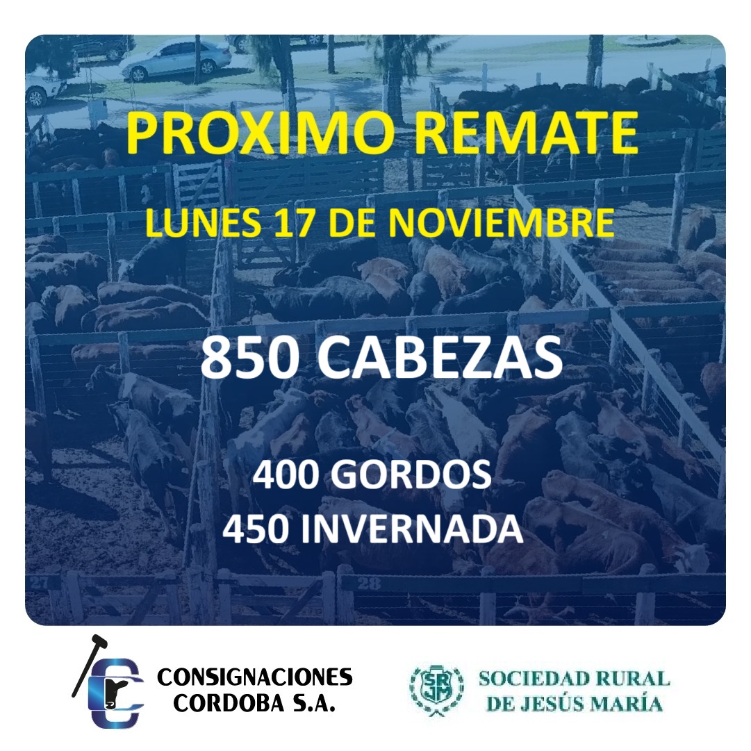 Este próximo lunes 17 de NOVIEMBRE los invitamos a participar de nuestro habitual remate. Ingresarán 850 cabezas !  Los esperamos a partir de las 10 hs. en el predio de la <a href="/srjmcba/">SRJM</a>