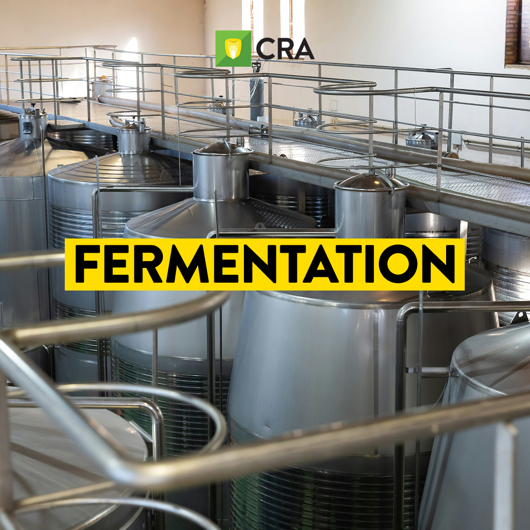 CornRefiners's tweet image. The next step in the corn refining process: Fermentation!   

Following conversion of starch to glucose, many corn refiners pipe glucose to fermentation facilities where the glucose is converted to alcohol by traditional yeast fermentation or to amino acids and other bioproducts…