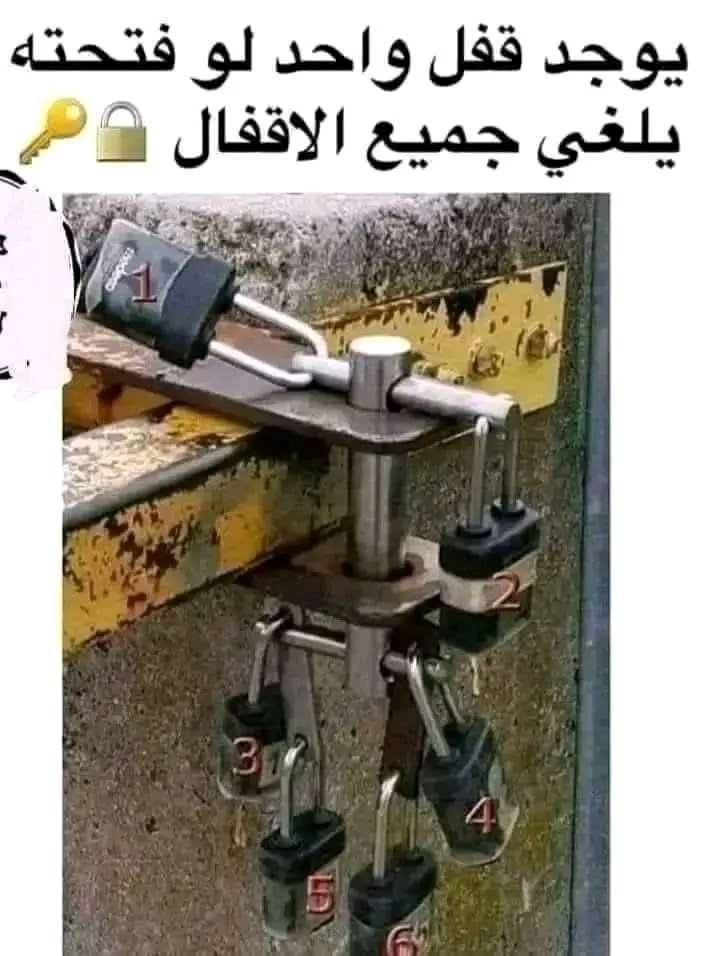 رغد العتيبي tweet media