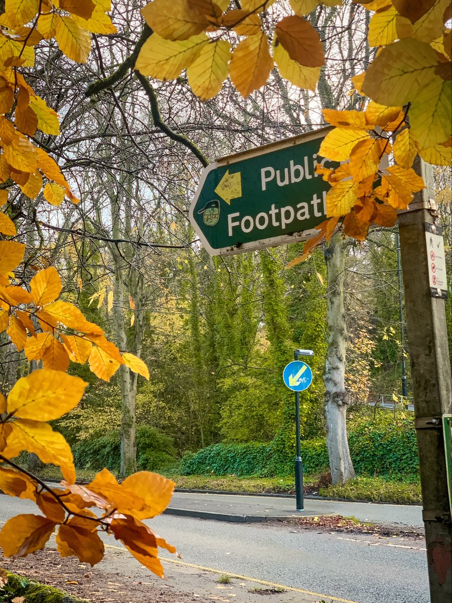 Happy #fingerpostfriday .
📍Rivelin Valley Trail.

 #PhotoFriday #TheOutdoorCity #Autumncolours