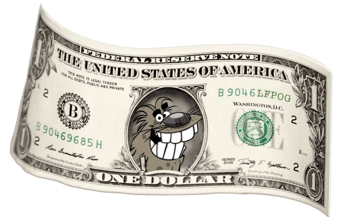 SNUFFiES Collectibles tweet media