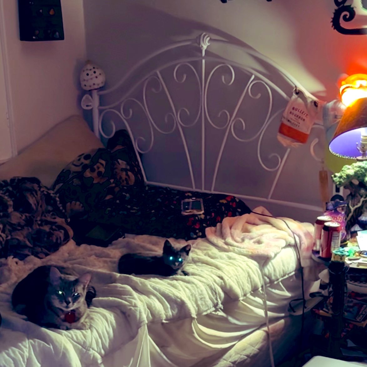 hyperverbal_lee's tweet image. many people rely on mutual aid to get their basic needs met so let’s help them 

this is a MUTUAL AID THREAD, if you or someone you know has a crowdfund, share it below 

please uplift every post shared as much as possible and please send every dollar you can spare 

we save us.