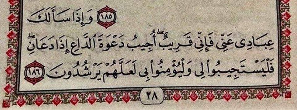 تغذيات فكرية (@sp55e) on Twitter photo 